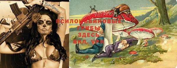 прущие крисы Тында