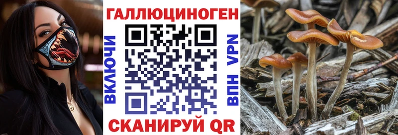 Галлюциногенные грибы Psilocybine cubensis  Купить  Омутнинск 